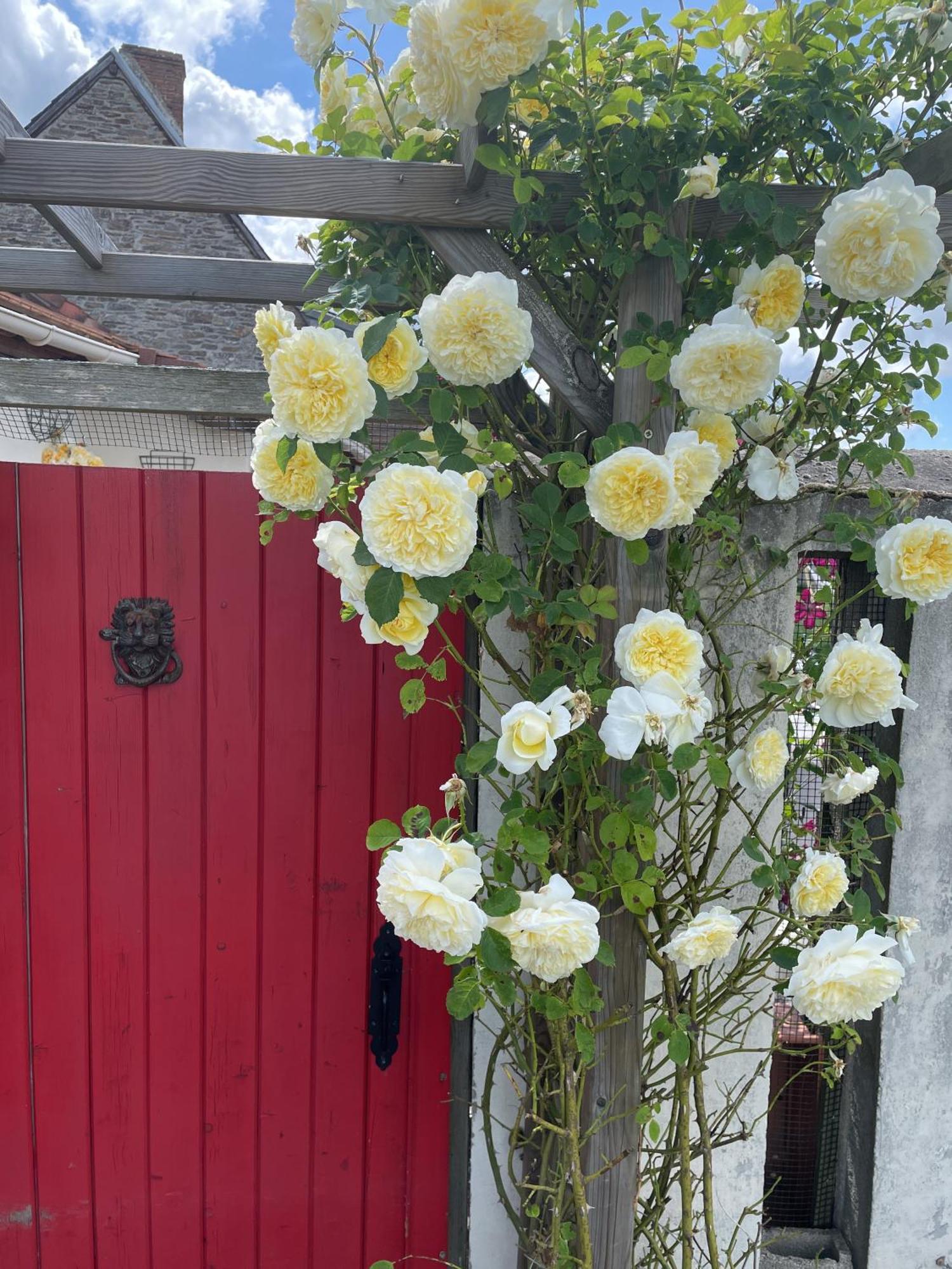 Delightful French Rustic Studio Jumilhac-le-Grand Exterior foto